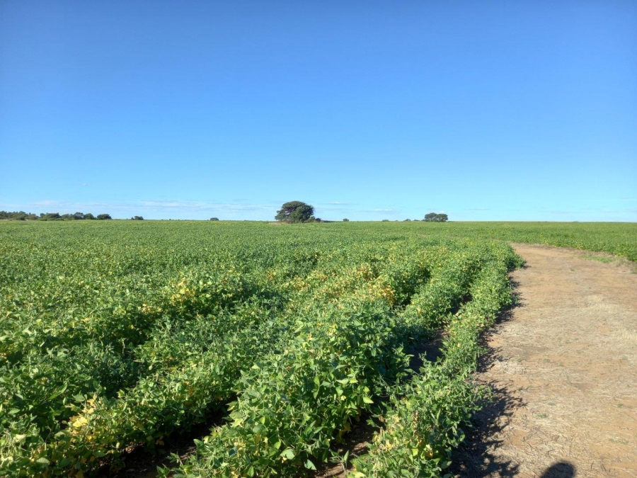 0 Bedroom Property for Sale in Wolmaransstad Rural North West